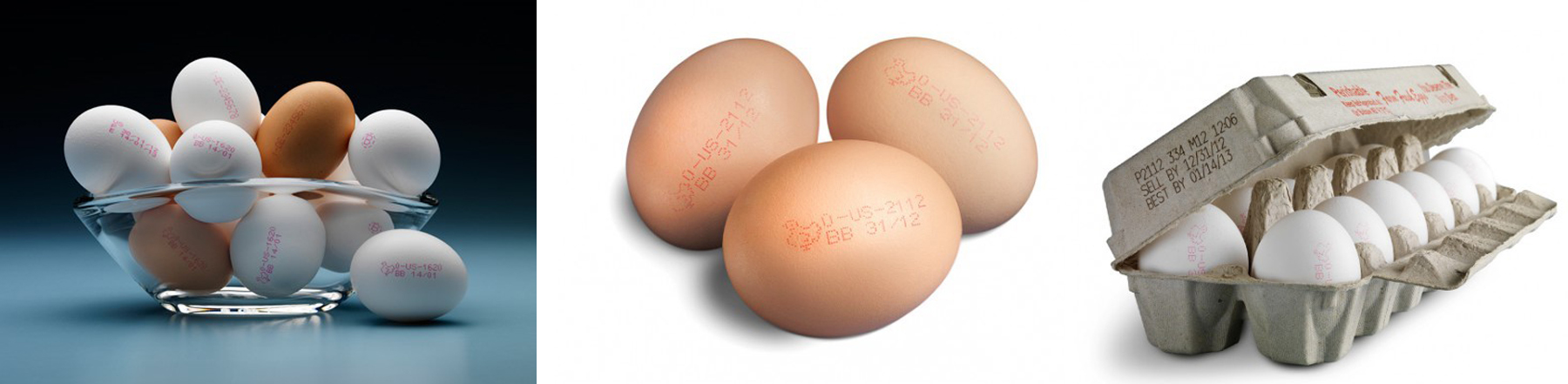 1565677211091055129.jpg egg inkjet printing machine.jpg