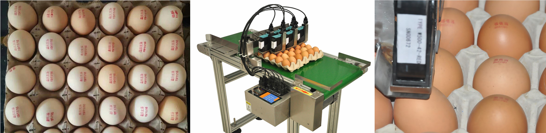 1565677520273089106.jpg egg inkjet coding machine.jpg