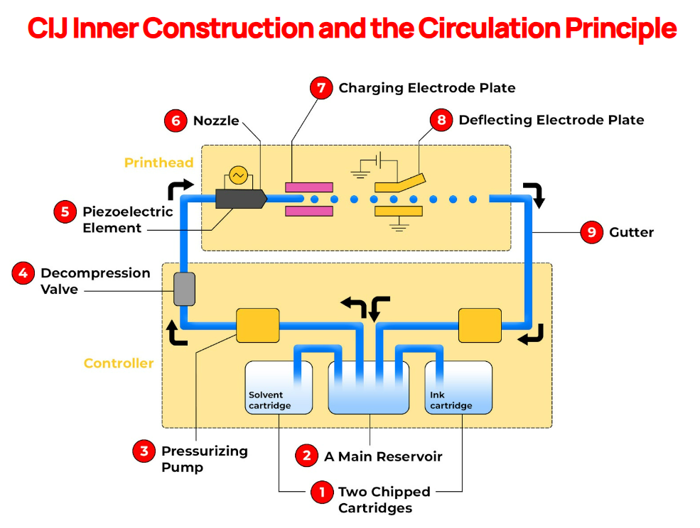 CIJ Inner Construction and the Circulation Principle.png