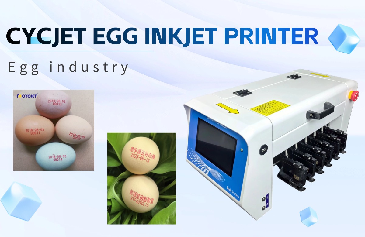 1763693291664091142.jpg cycjet egg inkjet printer.jpg
